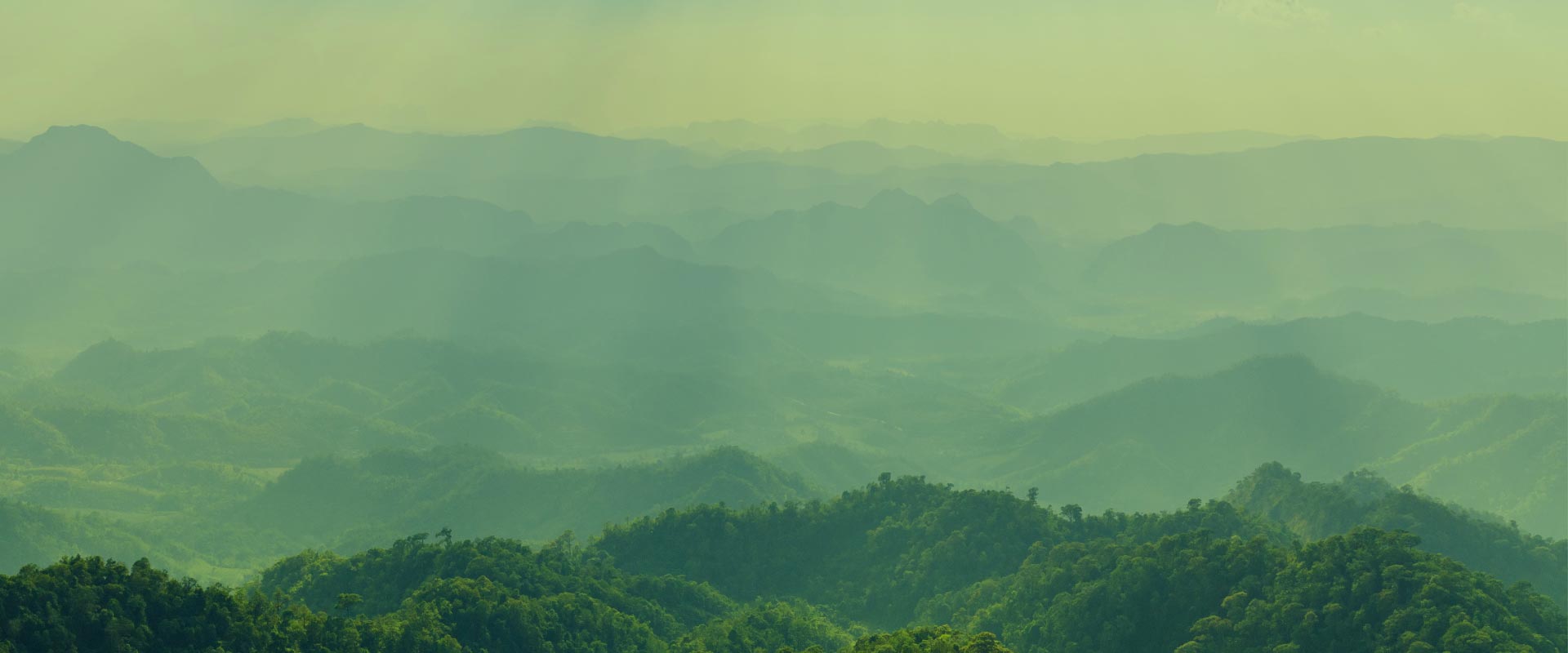 Wide image of rolling hills and mountains covered in lush green trees with the horizon in the distance.